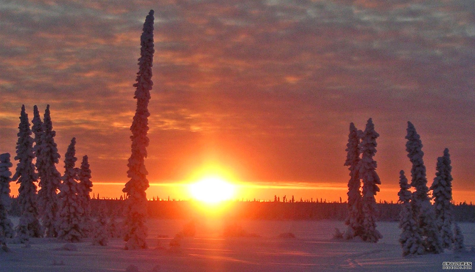 沐鸣娱乐测速网址