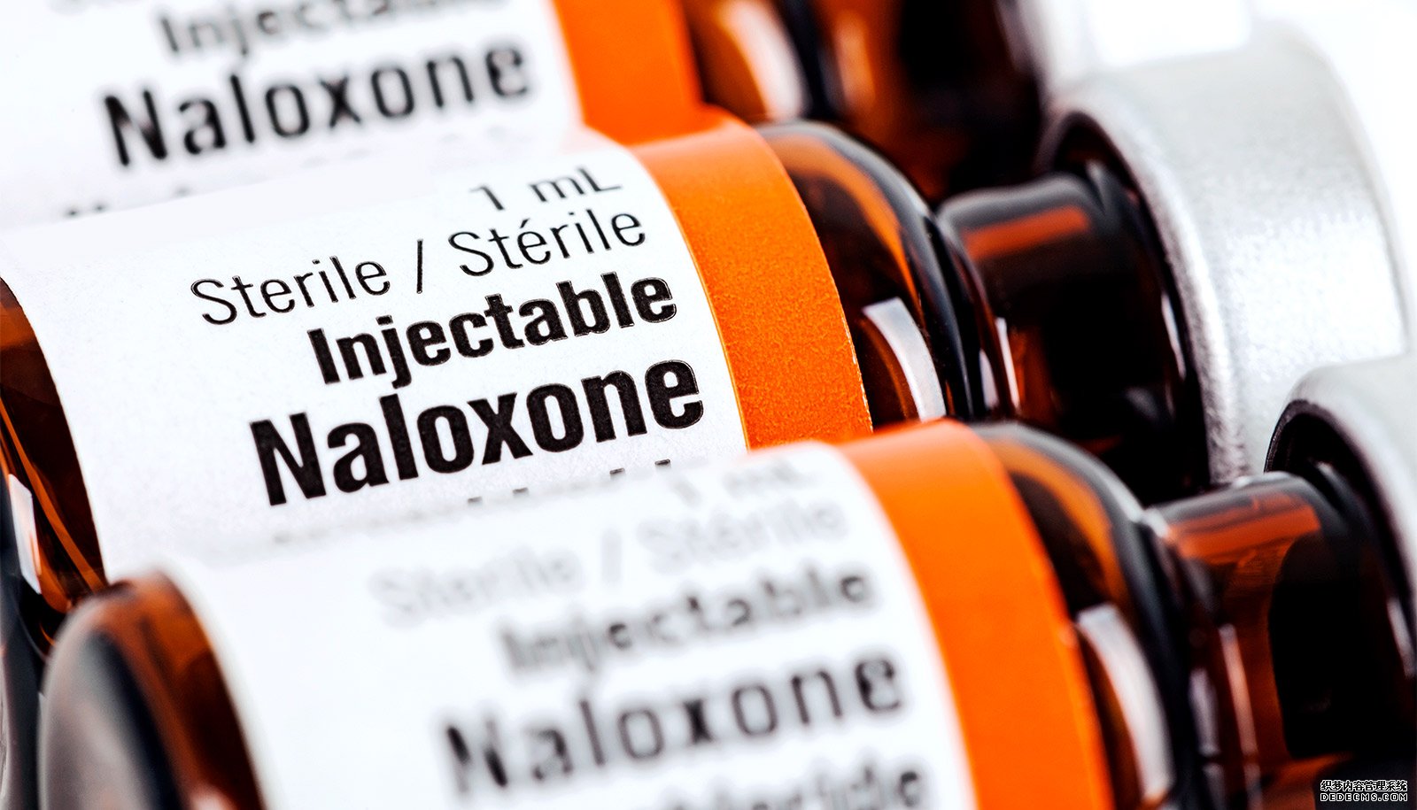 沐鸣如何总代理