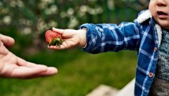 <b>沐鸣代理即使是饥饿的婴儿也愿意分享</b>