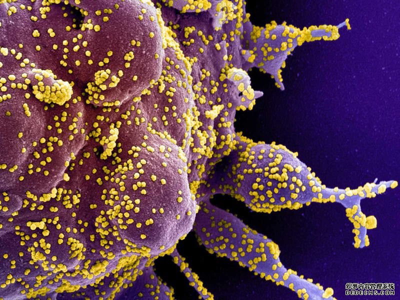 沐鸣平台登录线路